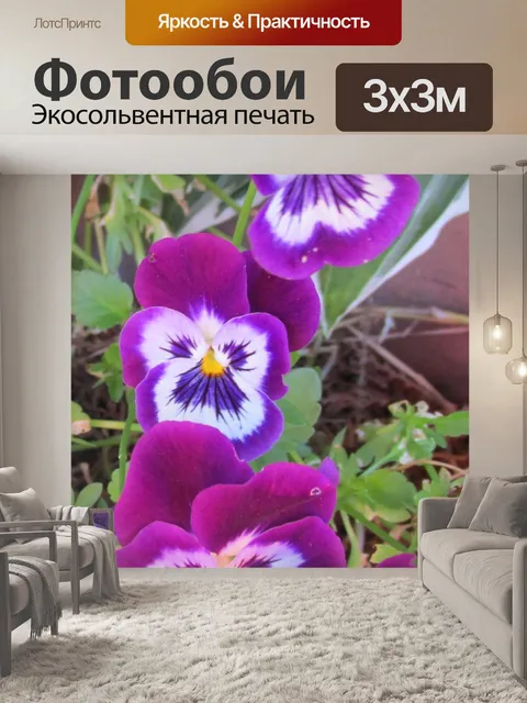 Фотообои Красивые цветы
