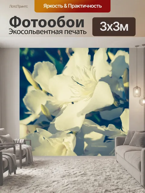 Фотообои Цветы олеандра