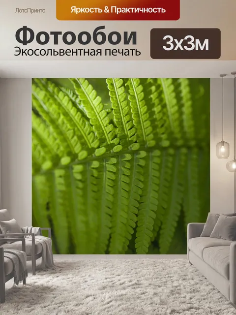 Фотообои Папоротник