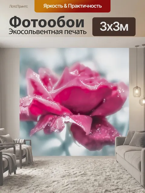 Фотообои Роза