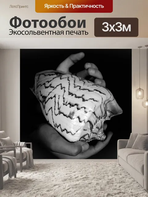 Фотообои ракушка, руки, крупный план, ракушка
