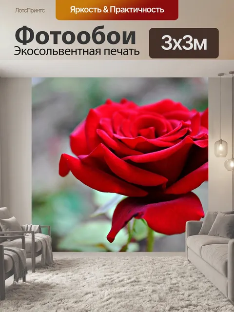 Фотообои Роза
