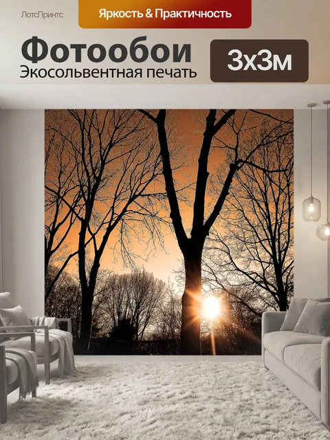 Фотообои Заход солнца