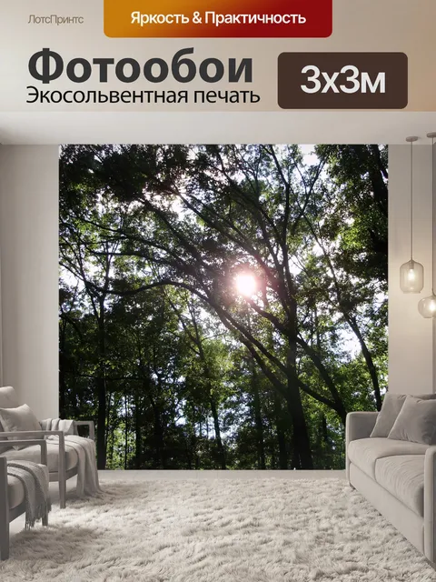 Фотообои Солнце сквозь деревья