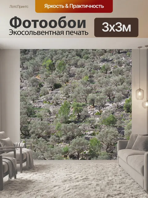 Фотообои Оливковая роща