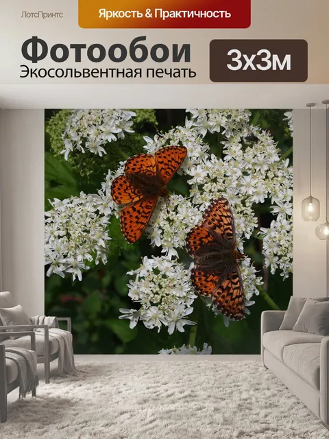 Фотообои Бабочка