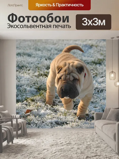 Фотообои Собака