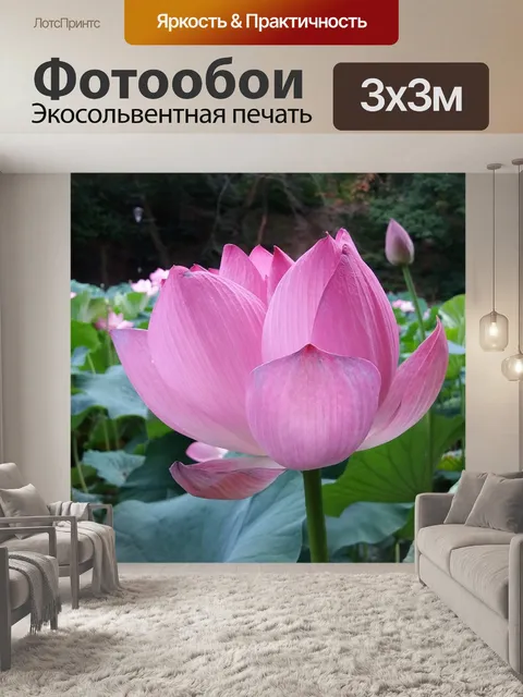 Фотообои Деталь