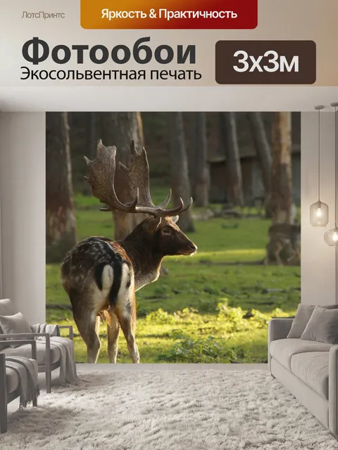 Фотообои Лань олень косуля
