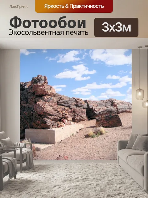 Фотообои Окаменевший лес национальный парк
