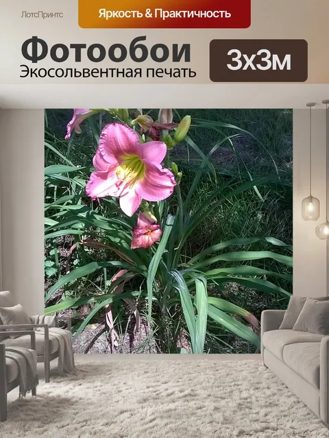 Фотообои Цветок