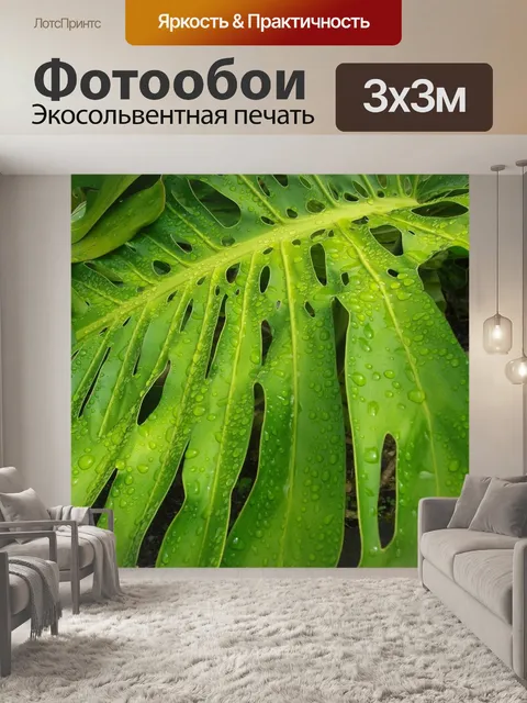 Фотообои Тропический лист