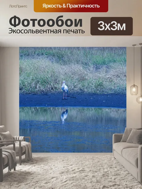 Фотообои Африканская колпица на берегу плотины