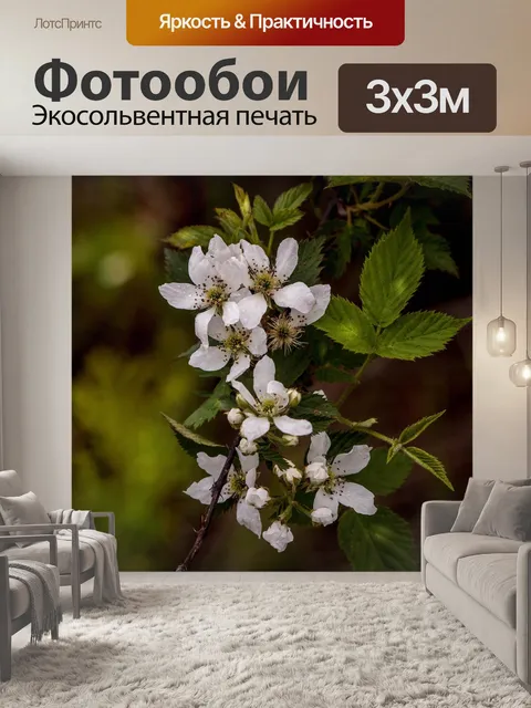 Фотообои Цветы ежевики
