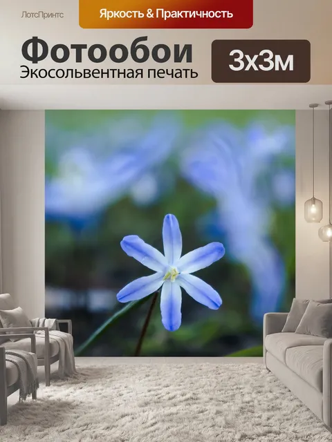 Фотообои Зеленый