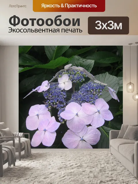 Фотообои Гортензия