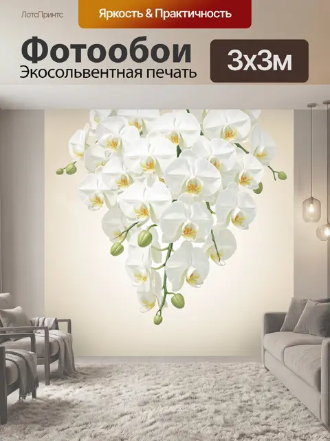 Фотообои Белые орхидеи на нежном фоне