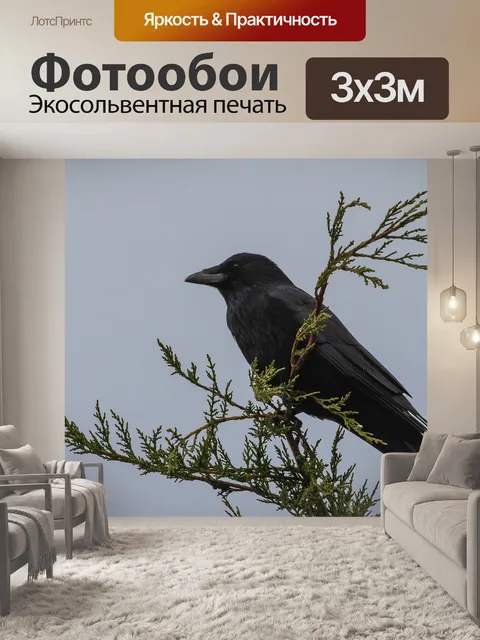 Фотообои Ворона
