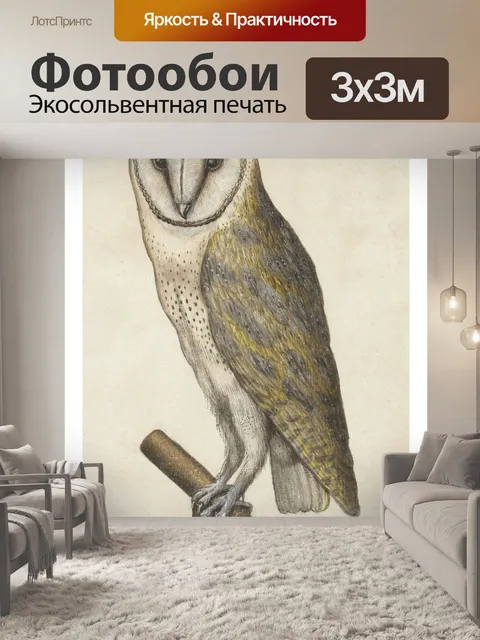 Фотообои Винтажная иллюстрация сипухи