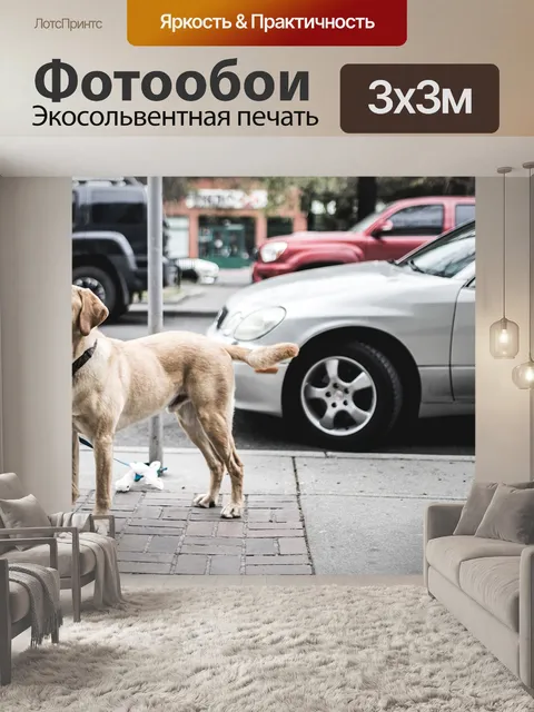 Фотообои Животное