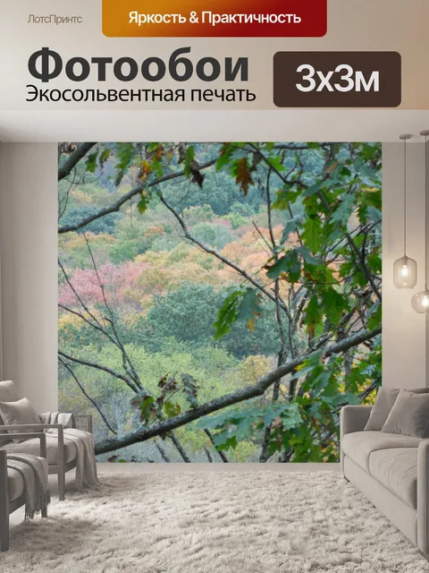 Фотообои Осень фона