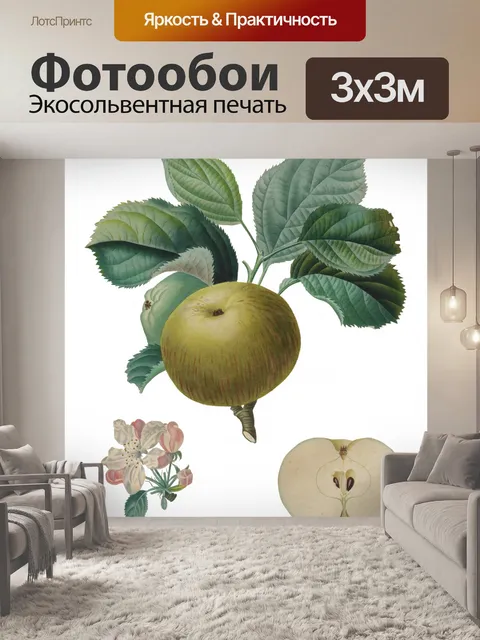 Фотообои Яблоко Фрукты Старинное Искусство