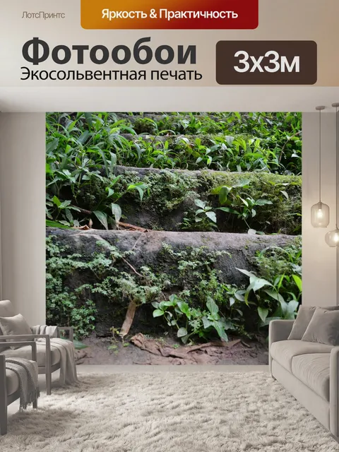 Фотообои рок шаги