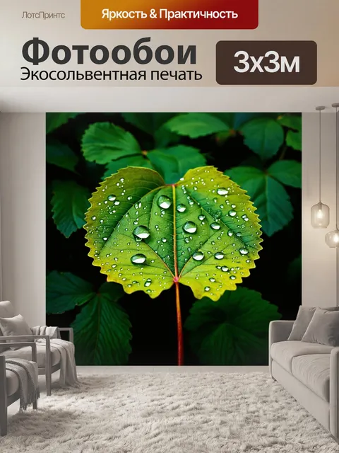 Фотообои листик с каплями воды