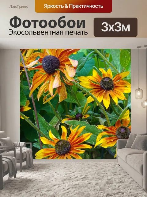 Фотообои Красочный колорадо подсолнухи