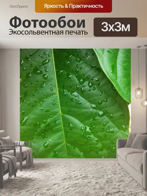 Фотообои зеленые листья с каплями воды