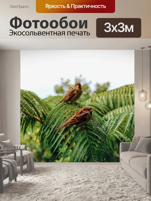 Фотообои Птицы