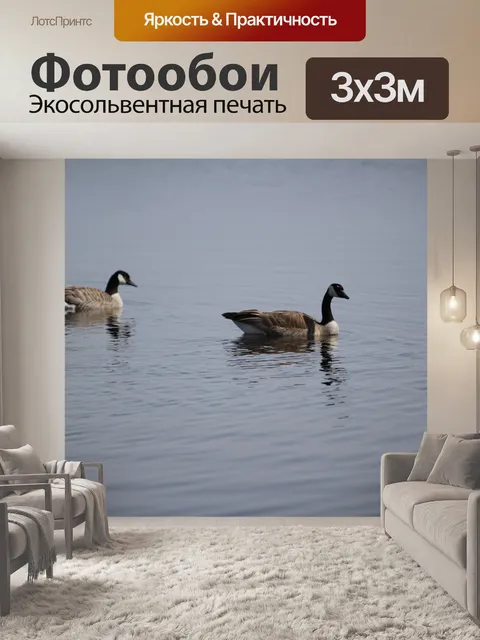 Фотообои Канадские гуси
