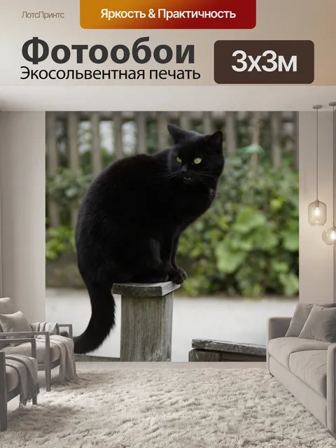 Фотообои Кот