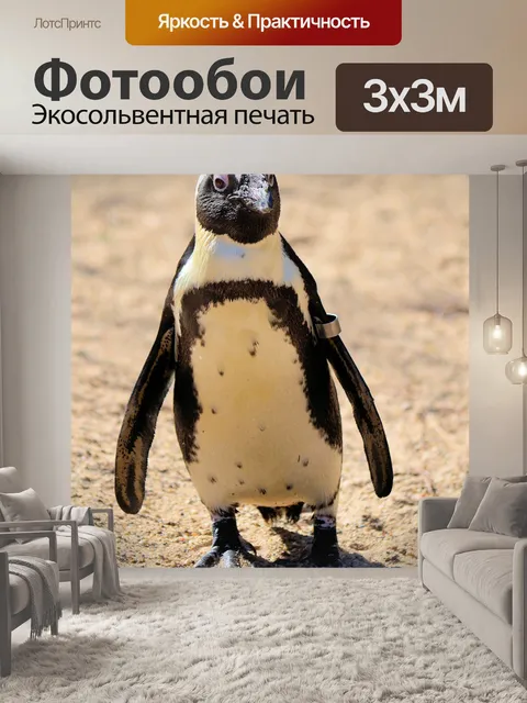 Фотообои Пингвин