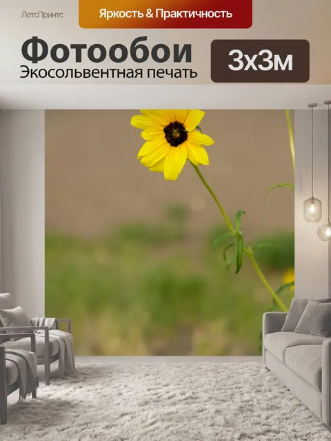 Фотообои Желтые цветы в пустыне