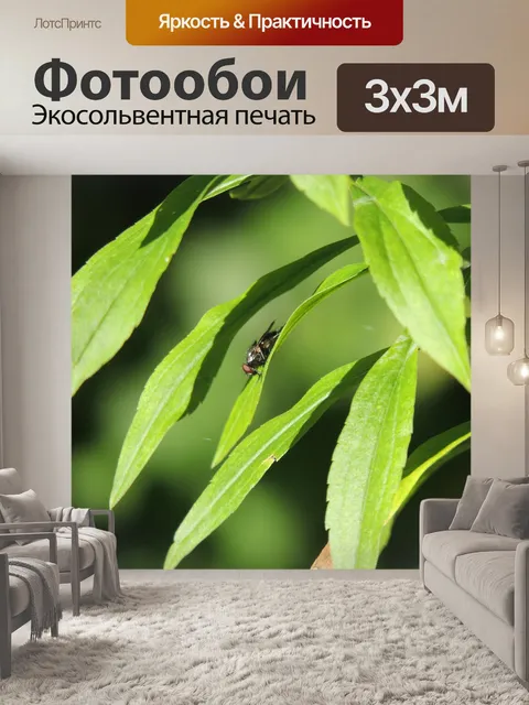 Фотообои Летать