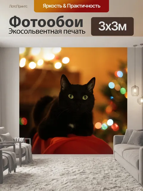 Фотообои Новогодний кот