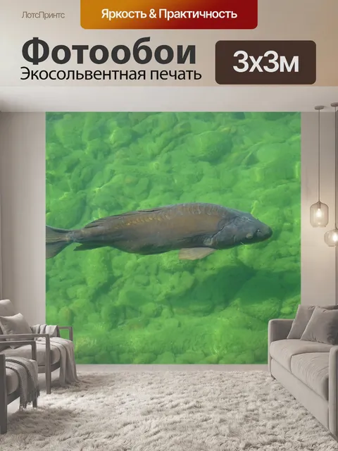 Фотообои Карп в воде