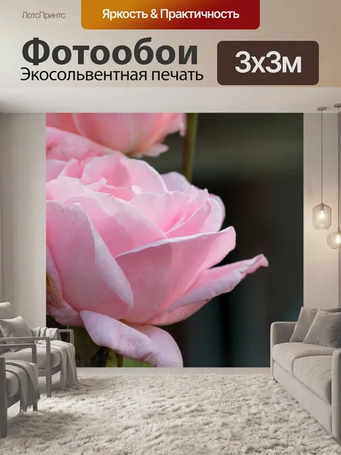 Фотообои Розовые розы