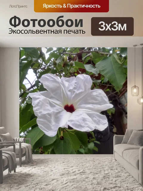 Фотообои Бумага цветок