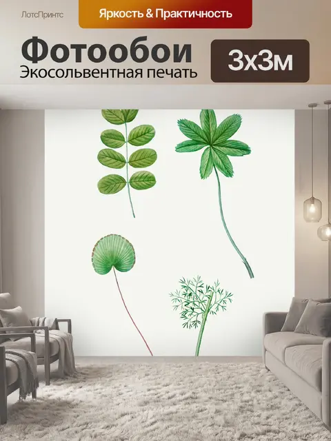 Фотообои Листья листва растения винтаж