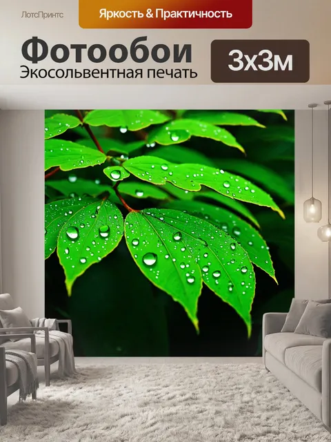 Фотообои зеленые в стиле японская тушь с блестящими каплями росы на листьях