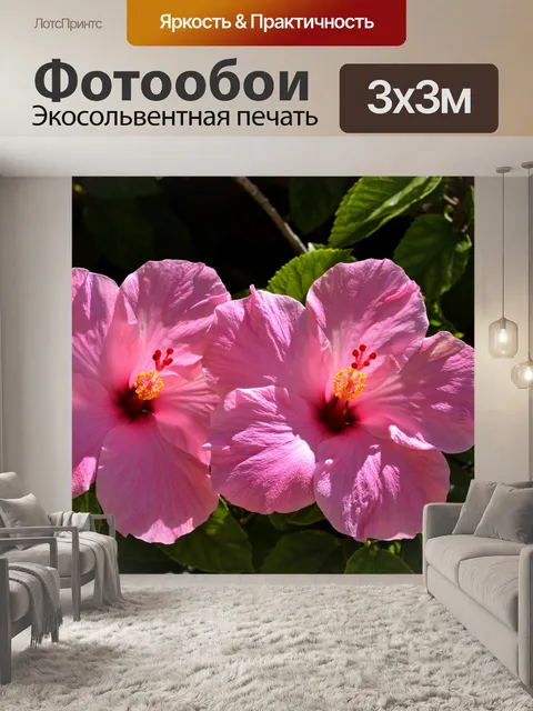 Фотообои Розовый цветок гибискуса