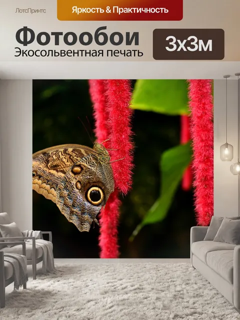 Фотообои Бабочка