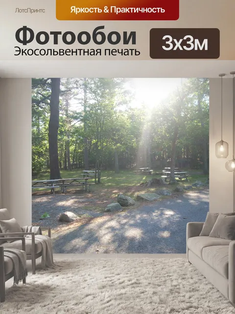 Фотообои Медведь Брук для пикника