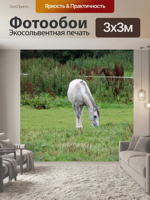 Фотообои Лошадь