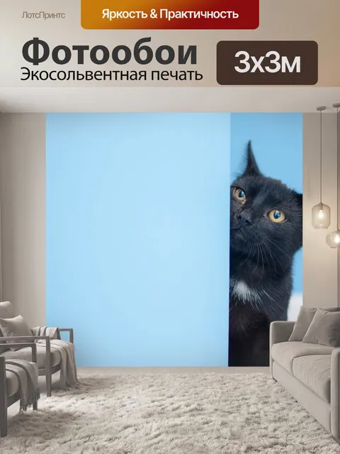 Фотообои Кошка