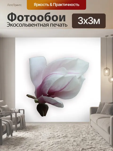 Фотообои Магнолия