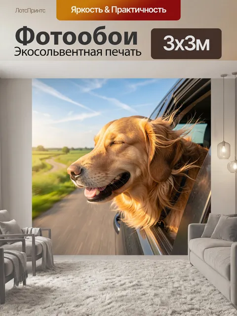Фотообои Ретривер в машине на ветру