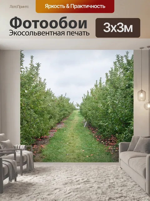 Фотообои Яблоневый сад